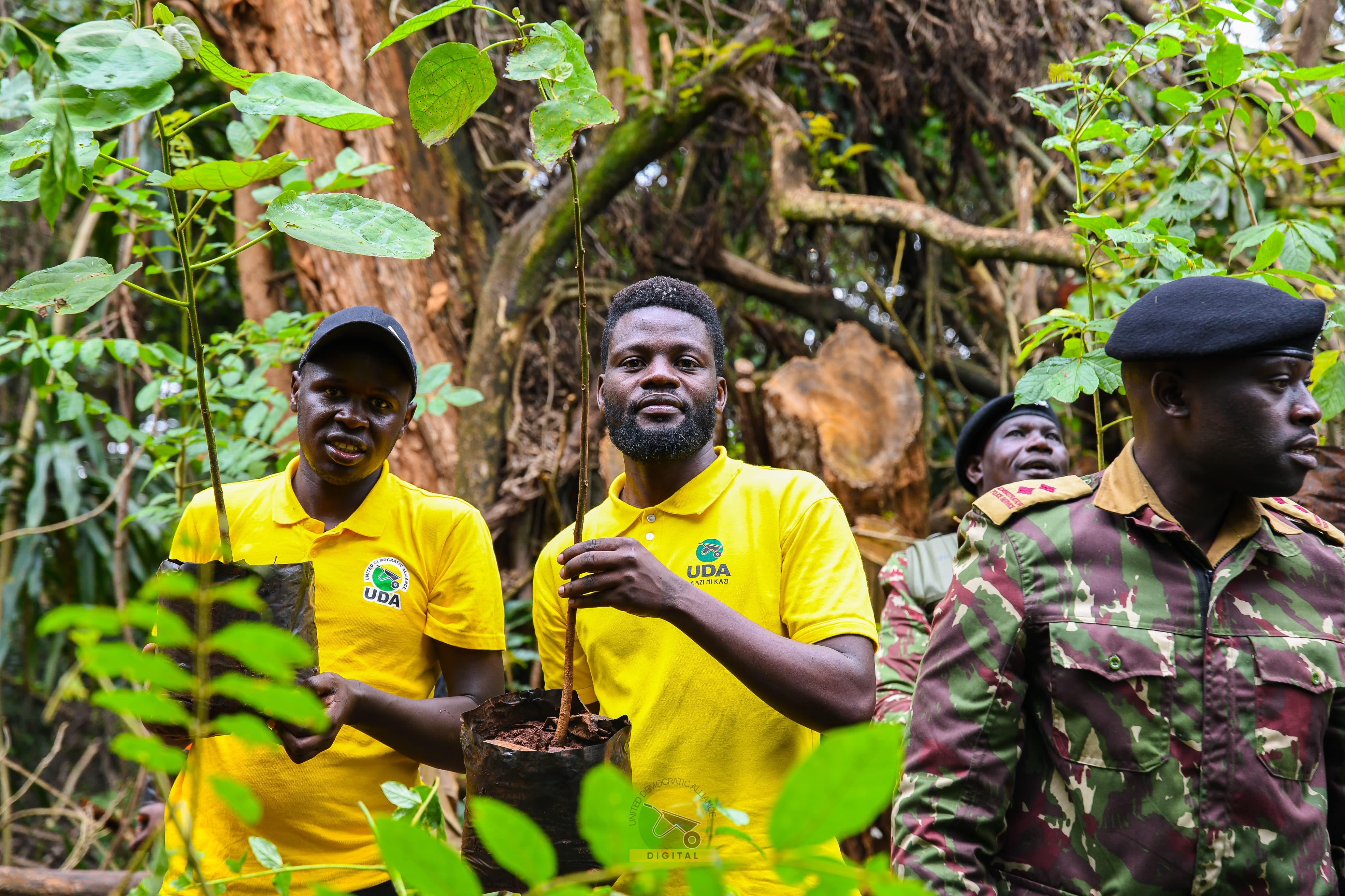 Karura Forest