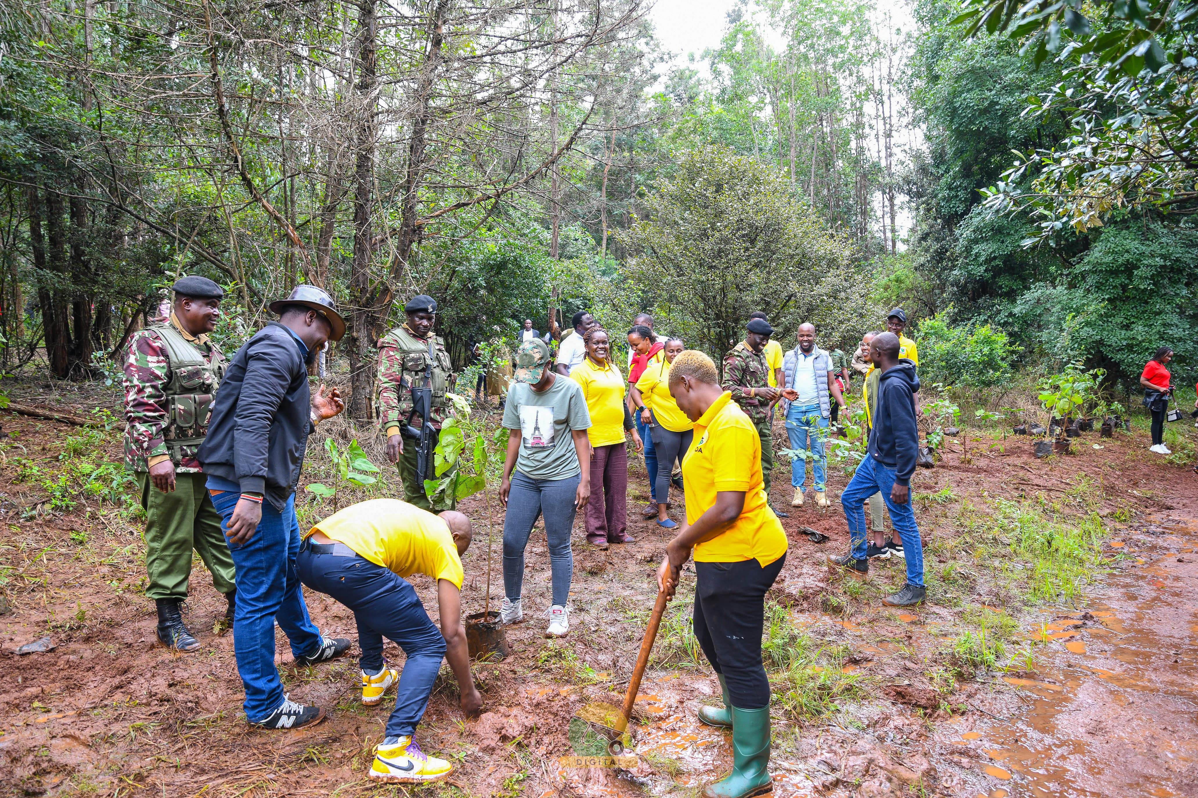 Karura Forest