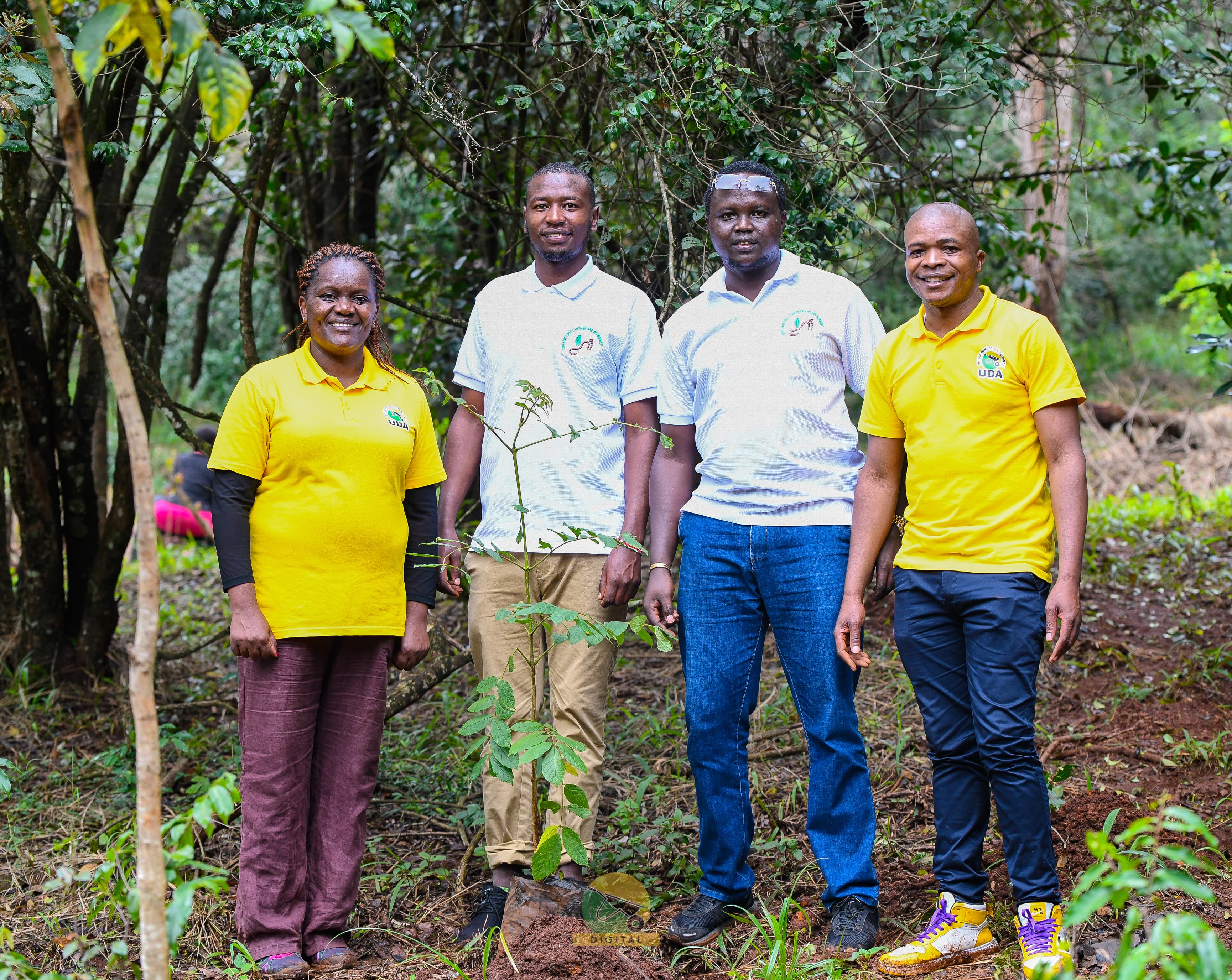 Karura Forest Chapter