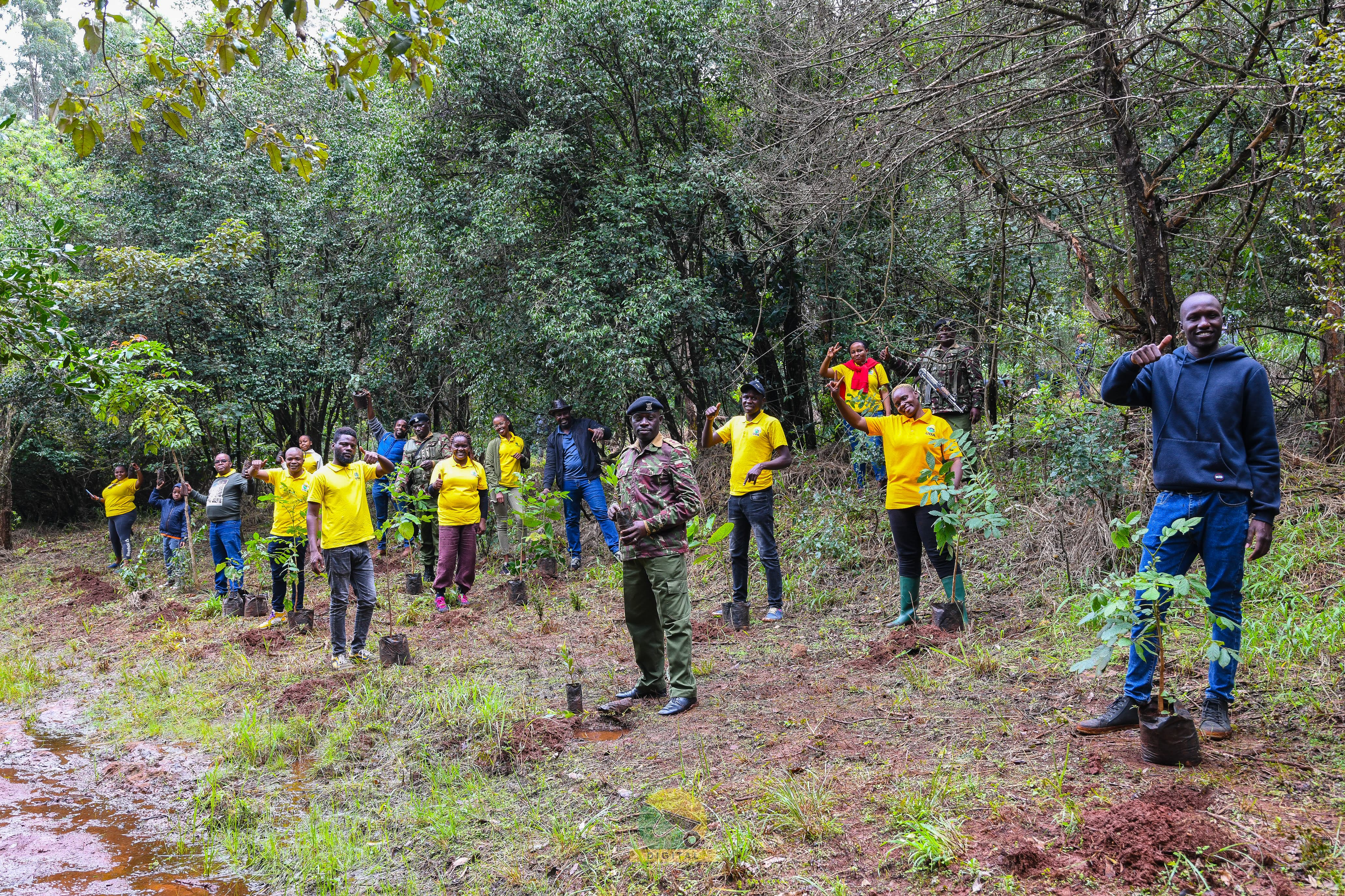 Karura Forest