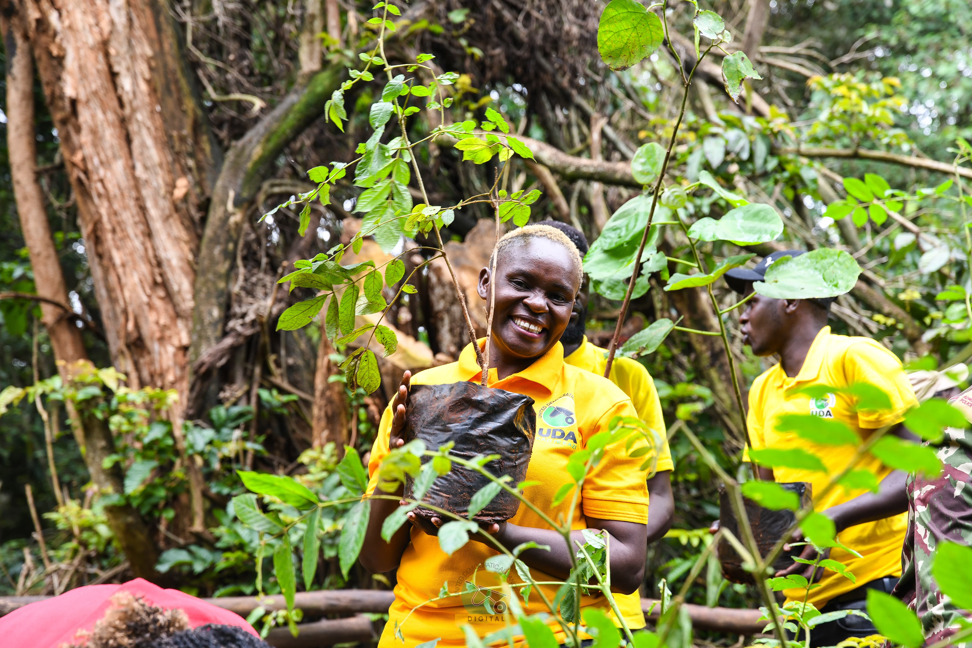 Karura Forest