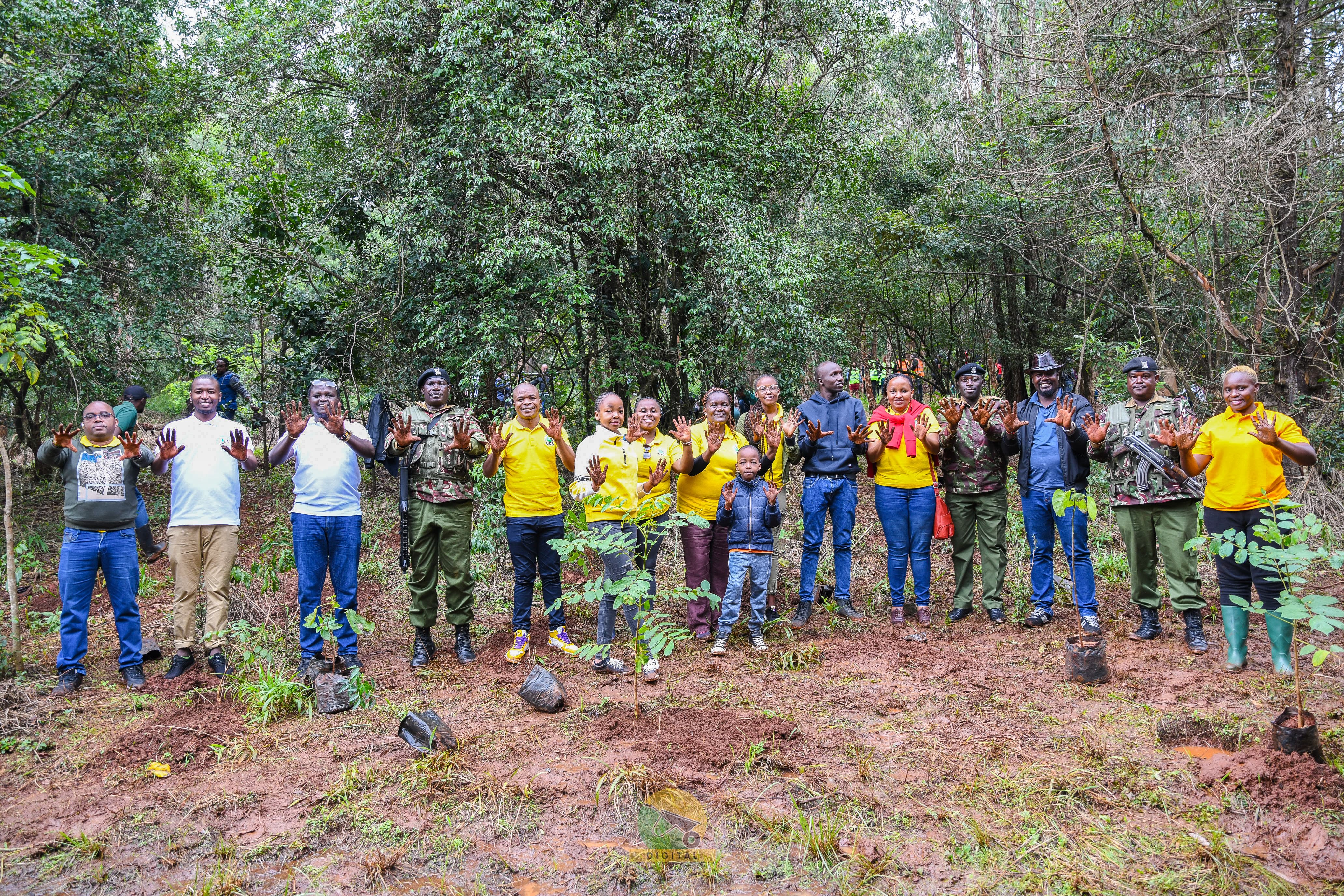 Karura Forest